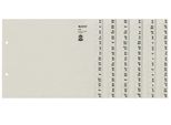 Leitz 1324-00-85 Serie 1324 Register - A-Z, Carta, A4 Extra-Large, Per 24 Cartelle, Grigio