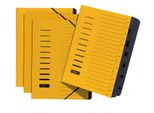 Pagna 24081-05 Organizer, Din A4, In Cartone, 7 Scomparti, Giallo