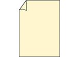 100X Paperado 16400108 RöSsler Papier Farbiges Inkjet Papier Din A4 - Chamois Gerippt, A4, 100 G/Qm