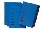 Pagna 24122-02 Organizer, Din A4, Cartone, 12 Scomparti, Blu