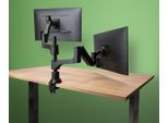 R-GO Tools R-Go Tools Braccio Per Monitor R-Go Caparo Dual, Per Due Monitor, Regolabile Con Molla A Gas, Portata 3-9 Kg, 100% Circolare, Nero