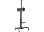 Hagor 8209 Hagor Hp Twin Stand Mobile Mobiles Standsystem FüR 32-55""