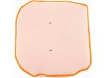 Filtro Aria Twin Air - 158320N
