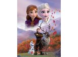 Brandmac Disney Frozen Elsa Anna Coperta Accogliente 130 X 170 Cm