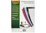 Fellowes Copertine In Polipropilene 54770/ A4/ 500 Micron/ 100 Pz/ Gelato Chiaro