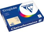 Clairefontaine Kopierpapier 1040PC A4 160G Chamois 250Bl