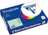 Clairefontaine Kopierpapier 2635PC A4 160G HellgrüN 250Bl