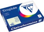 Clairefontaine Kopierpapier 1051PC A4 160G LindgrüN 250Bl
