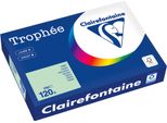 Clairefontaine Kopierpapier 1216PC A4 120G HellgrüN 250Bl