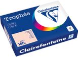 Clairefontaine Kopierpapier 1104PC A4 160G Lachs 250Bl