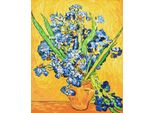 Pittura Per Numeri Con Cornice Quadri Per Pittura - Vaso Con Iris 40X50 Cm