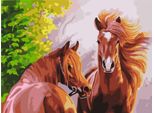 Quadri Con Cornice - Cavalli Selvaggi 50X40 Cm