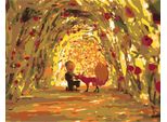 Pittura Per Numeri Immagini Da Dipingere - Piccolo Principe Tunnel Delle Rose 50X40 Cm
