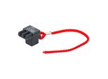 Bgs Schwungrad-Blockierwerkzeug FüR Bmw N55, N20, N26 ; Bgs Technic (9867)