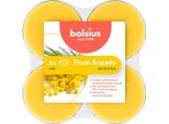 Maxi Luci Profumate, Mimosa, True Scents, Bolsius, Ø60 Mm, Durata Di Combustione Circa 8H, 8 Pezzi Per Confezione