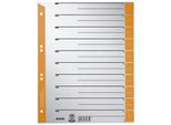 Leitz 1652-00-45 Fogli Divisori - A4 Extra Larghi, Arancione, Bordo Perforato Colorato, 100 Pezzi