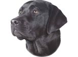 Adesivo Nobby Labrador Nero 120 X 150 Mm, Set Da 2