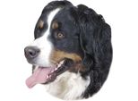 Adesivo Nobby Cane Da Montagna Bernese 120 X 150 Mm, Set Da 2