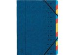 Organizer Exacompta, Din A4, Cartone, 12 Cartelle, Blu