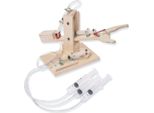 Fiammiferi21 Modello Di Braccio Robotico Pneumatico/Idraulico In Kit Per Set Di Artigianato Per Bambini A Partire Da 13 Anni Di Età
