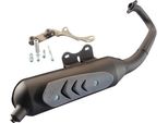 Scarico Polini Originale - Con Abe Compatibile Con Aprilia Sr 50 Di-Tech (Iniezione) / Piaggio Purejet