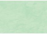 Clairefontaine Geschenkpapier, Auf Rolle, Knospengrn