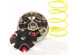 Variatore Malossi Multivar Per Cpi Hussar, (16X13 ; 6,0Gr), Molla Di Contropressione: Bianca, Pesi: 16X13Mm - 6,00Gr