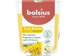 Bolsius Mimosa Bolsius Candela Profumata In Vetro 80/73