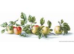 Luca-S Set Per Punto Croce "Mele"", Schema Contato, 50,5X19,5Cm"