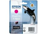 Seagate SEASTJL4000400 Hard Disk Esterno Basic Da 4TB E Usb 3 0 Grigio