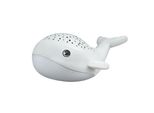 Luce Notturna + Cielo Stellato Willy Whale