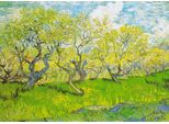Enjoy Puzzle Vincent Van Gogh: Il Frutteto Fiorito 1000 Pezzi