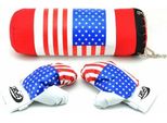 Teddies Boxing Set Sacco Da Boxe Variante 40348