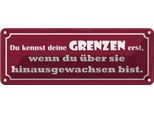 Vianmo Insegna Di Latta 10X27 Cm Kennst Deine Grenzen Erst Wenn