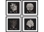 Casa Padrino Immagini / Stampa D'arte Set Di 4 Coralli Nero 64 X H. 64 Cm - Decorazione
