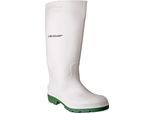 Dunlop Donna Pricemastor 380BV Stivali Di Gomma FS3206 (38 Eu) (Bianco/Verde)