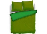 Biancheria Da Letto Reversibile In Cotone Percalle 155X220 Cm + 80X80 Cm Verde