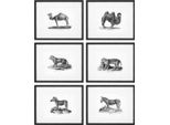 Casa Padrino Quadri Set Di 6 Animali Storici Nero/Bianco 53,5 X H. 43,5 - Stampe Artistiche Con Cornice In Legno