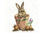 Set Punto Croce Bothy Threads "Il Vaso Di Fiori"", 26X26Cm, XHD76, Schema Contato"