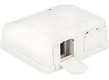 Keystone Delock LeergehäUse 2-Port Mit Staubschutz