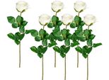 Kunstblume Creativ Green, Beige (Natur), H:69Cm, Kunststoff, Polyester, Kunstpflanzen