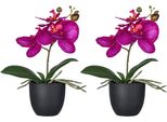 Kunstorchidee Creativ green "Orchidee Phalaenopsis", Pink, H:23Cm, Kunststoff, Kunstpflanzen, Mit Naturgetreuen BlüTen