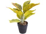 KüNstliche Zimmerpflanze BOTANIC-HAUS "Croton", Bunt (Gelb, GrüN, Rot), B:18Cm H:28Cm T:18Cm Ø:18Cm, Kunststoff, Kunstpflanzen, KüNstliche Zimmerpflanze