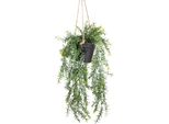 KüNstliche Zimmerpflanze BOTANIC-HAUS "Asparagus-HäNgeampel", GrüN, B:19Cm H:46Cm T:19Cm Ø:19Cm, Kunststoff, Kunstpflanzen, KüNstliche Zimmerpflanze