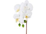 Kunstorchidee Creativ Green "Orchidee Phalaenopsis", Weiß, H:44Cm, Kunstpflanzen, Mit Real-Touch-BlüTen