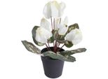 Kunstblume BOTANIC-HAUS "Alpenveilchen", Beige (Creme, Weiß), B:20Cm H:24Cm T:20Cm Ø:20Cm, Kunststoff, Kunstpflanzen
