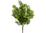 KüNstliche Zimmerpflanze BOTANIC-HAUS "Buchsbusch Mit 7 Stielen", GrüN, B:18Cm H:32Cm T:18Cm Ø:18Cm, Kunststoff, Kunstpflanzen, KüNstliche Zimmerpflanze