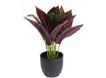 KüNstliche Zimmerpflanze BOTANIC-HAUS "Calathea", GrüN, B:20Cm H:20Cm T:20Cm Ø:20Cm, Kunststoff, Kunstpflanzen, KüNstliche Zimmerpflanze