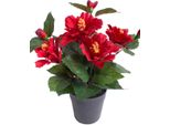 Kunstblume BOTANIC-HAUS "Hibiskus Im Topf", Rot, B:20Cm H:27Cm T:20Cm Ø:20Cm, Kunststoff, Kunstpflanzen