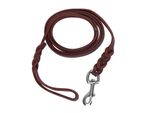 Corda Di Sicurezza Per Guinzaglio Per Cani, In Pelle Bovina E Cintura In Pelle Per Passeggiate, Corsa, Addestramento (1,6 M)